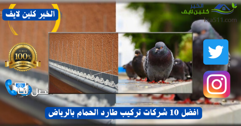افضل 10 شركات تركيب طارد الحمام بالرياض